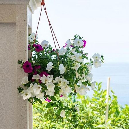 Apartments Villa Bella Vista Gornji Dingač Екстериор снимка