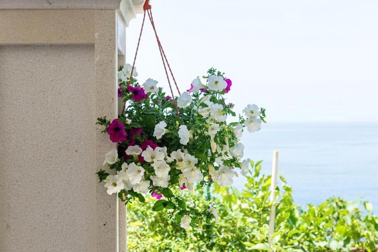 Apartments Villa Bella Vista Gornji Dingač Екстериор снимка