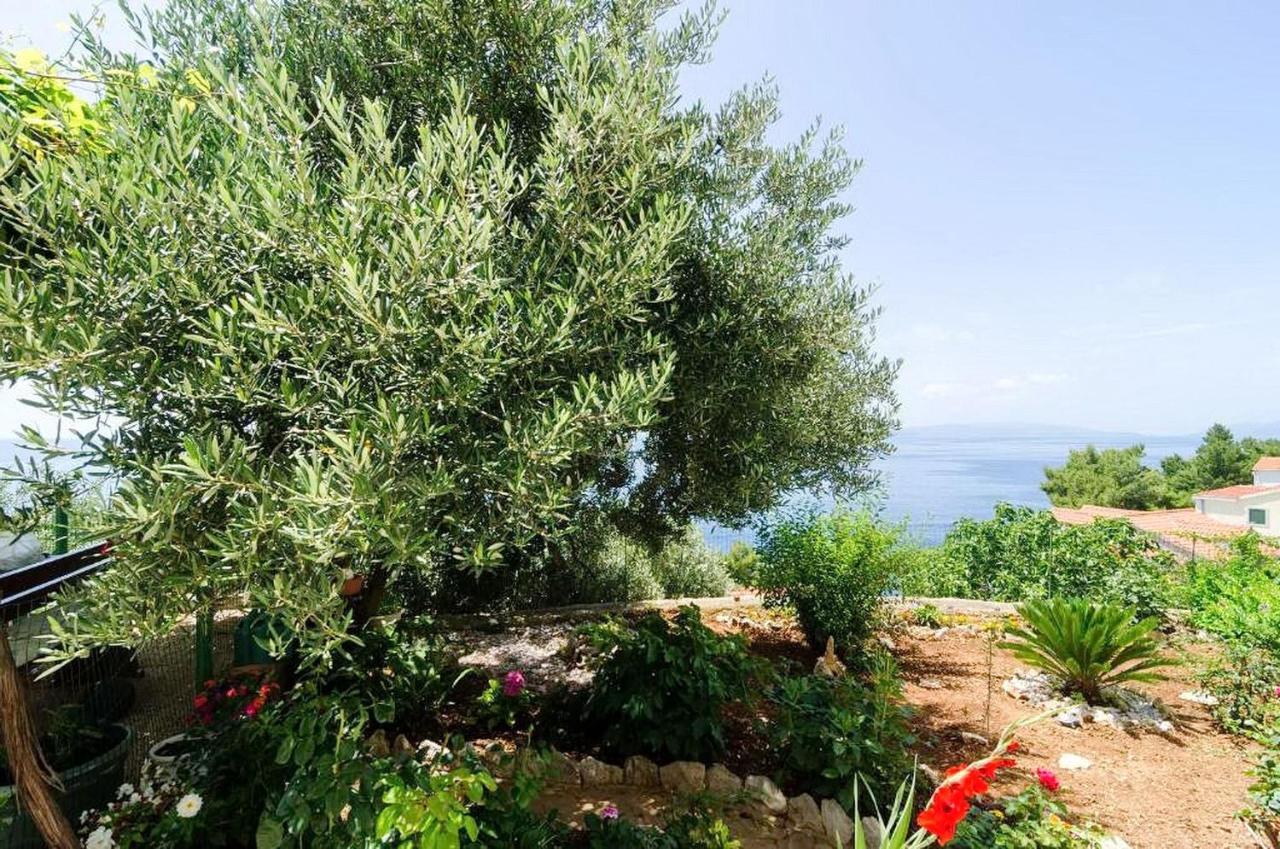 Apartments Villa Bella Vista Gornji Dingač Екстериор снимка